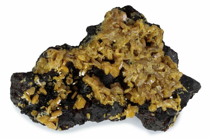 Vibrant Orange Mimetite Crystals on Matrix - Congo #380035